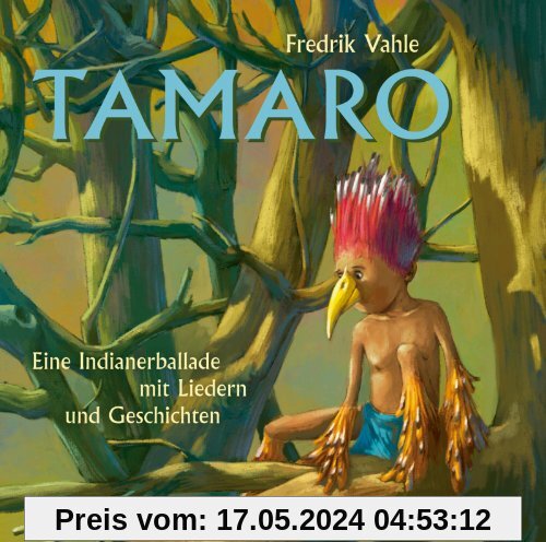 Tamaro: Eine Indianerballade mit Liedern und Geschichten